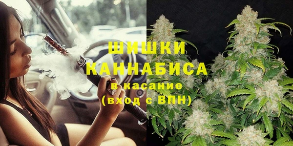 стаф Вязьма