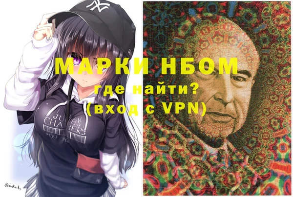 стаф Вязьма